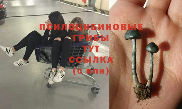 первитин Алексеевка