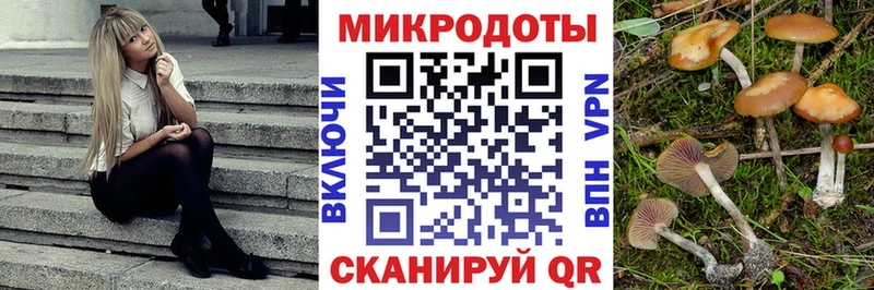 Псилоцибиновые грибы Psilocybe  дарнет шоп  Кореновск 