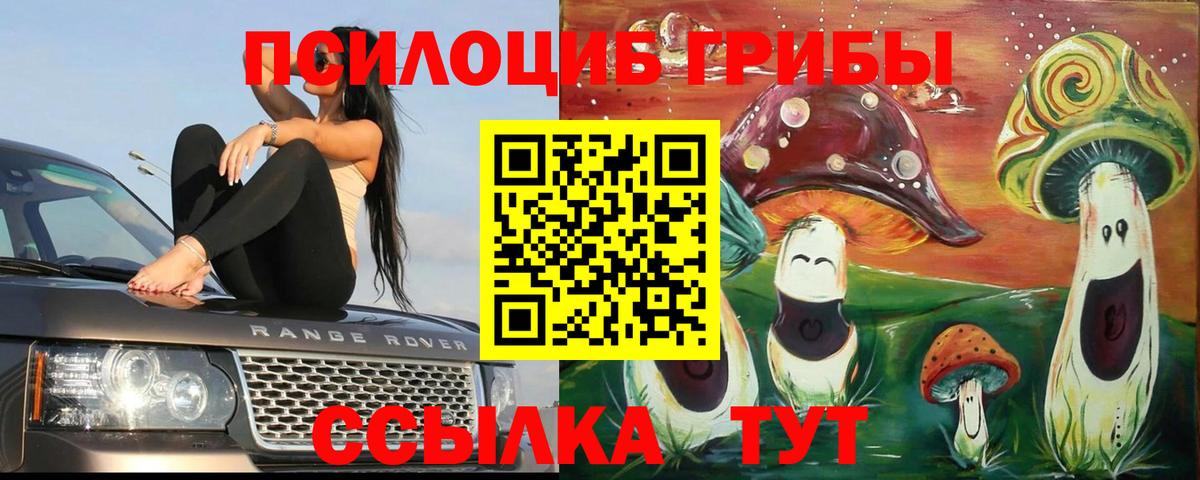 Псилоцибиновые грибы мухоморы Кореновск